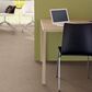 Philadelphia Basic Rules Carpet in Toast, , large