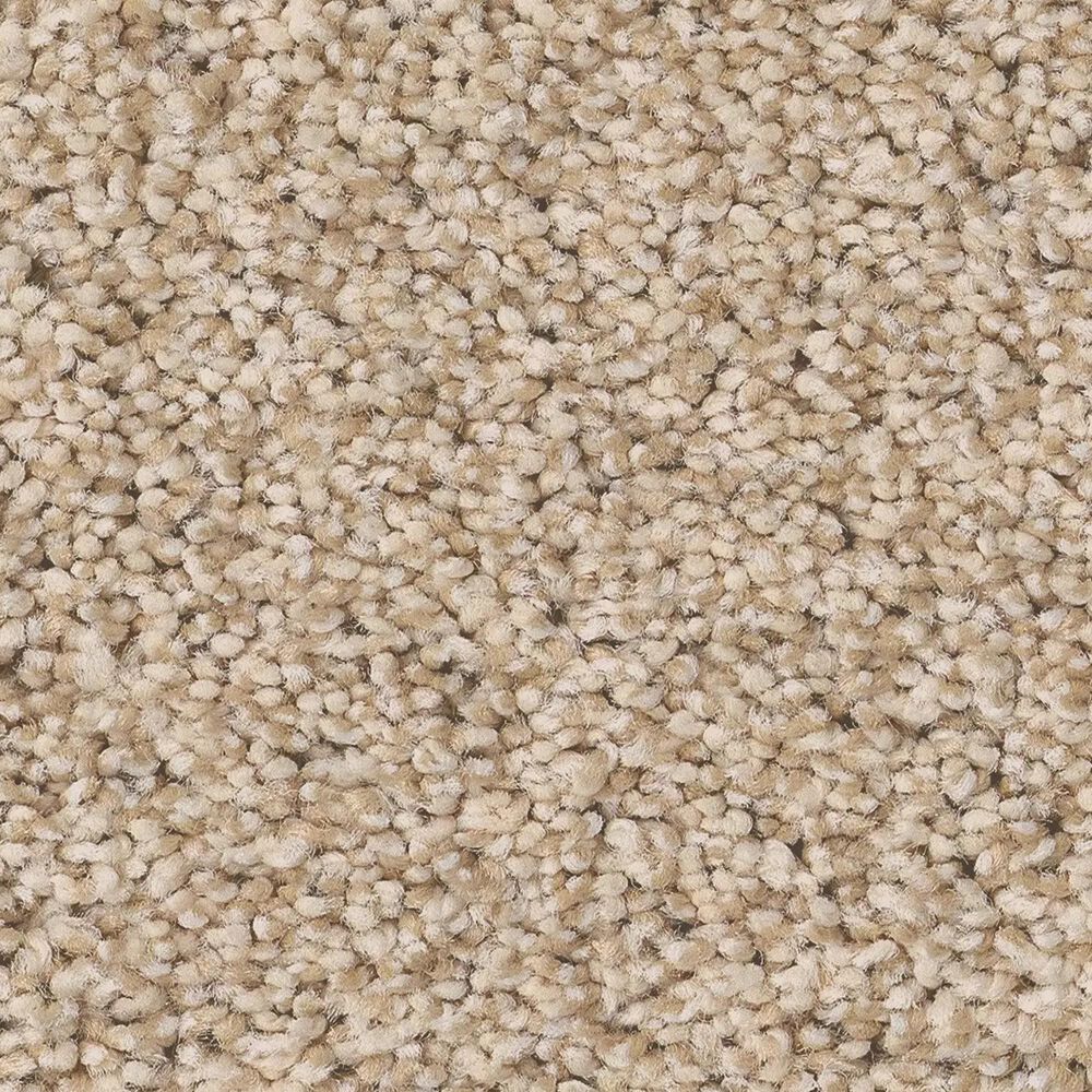 Anderson Tuftex Wyndham Estate Carpet in Down Home, , large