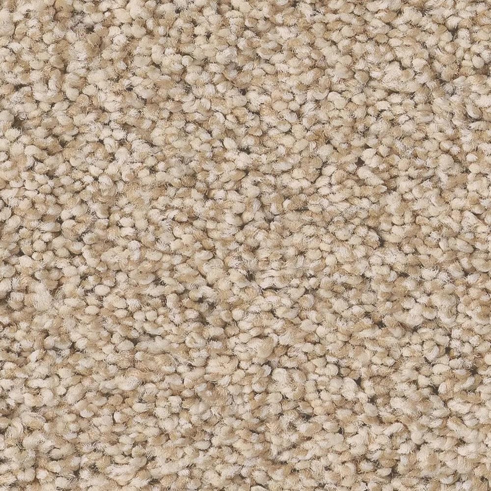 Anderson Tuftex Wyndham Estate Carpet in Down Home, , large