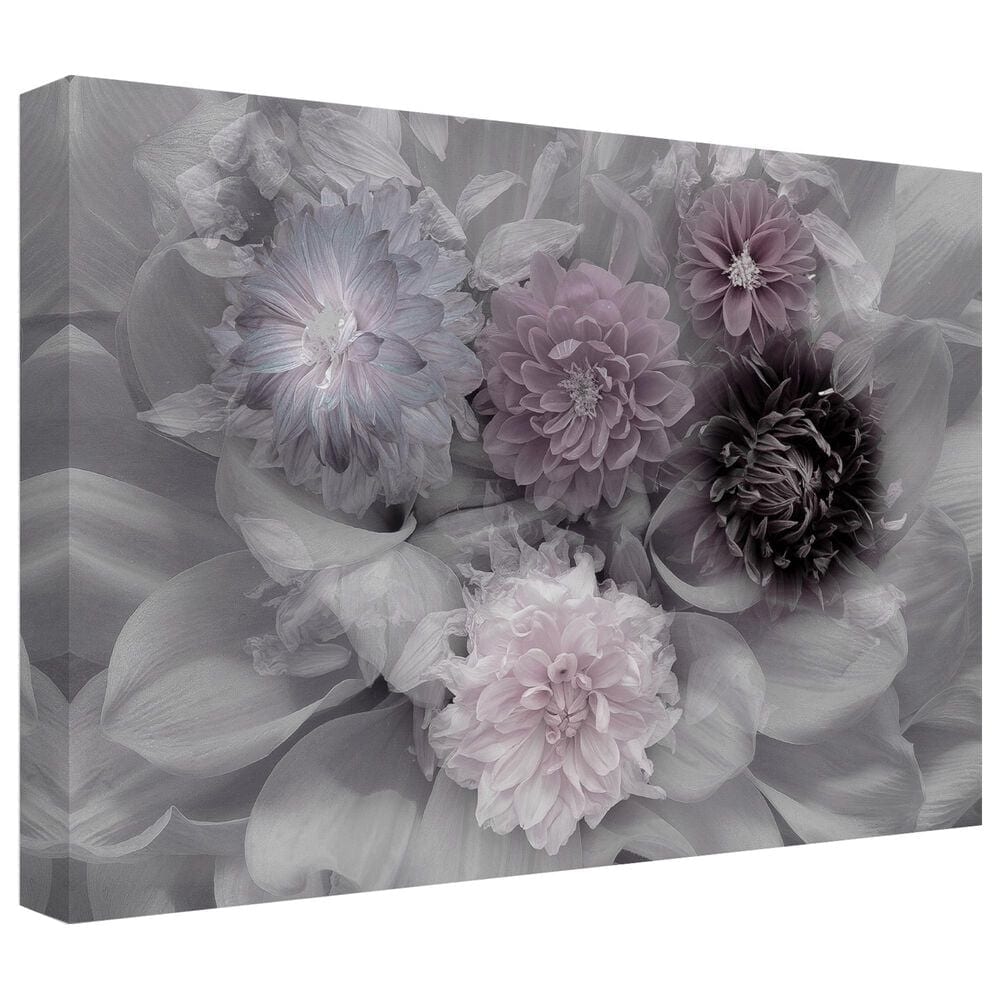 Timberlake Inge Schuster 'Dahlia Dream' 30" x 47" Canvas Art, , large