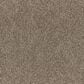 Dixie Home Perfect Summer Carpet in Theatre, , large