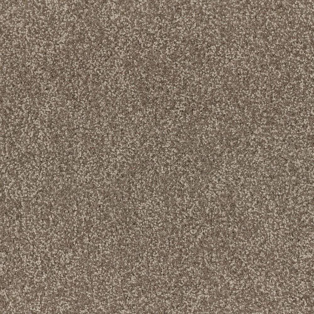 Dixie Home Perfect Summer Carpet in Theatre, , large