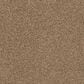 Shaw Del Morro Carpet in Rocky Ridge, , large