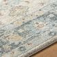 Surya Avellino 6"7" x 9"2" Light Beige, Gray, Tan, Pale Blue, Deep Teal, Rose and Light Olive Area Rug, , large