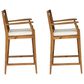 Hearth and Haven Perla Outdoor Bar Stool with Cushion in Brown (Set of 2), , large