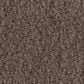 Anderson Tuftex Luxe Feel II Carpet in Mesquite, , large