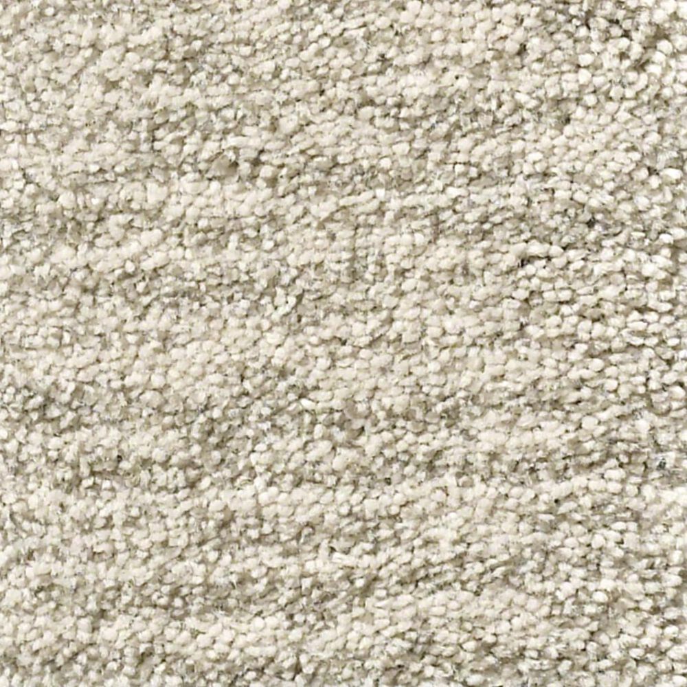 Anderson Tuftex New Wave Carpet in Misty Dawn NFM