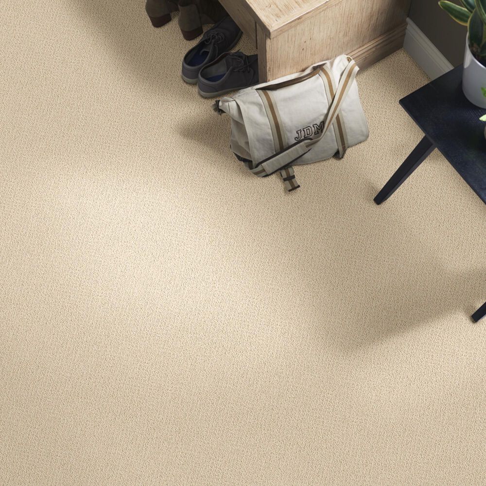 Shaw Detailed Statement Loop Carpet in Mesa, , large
