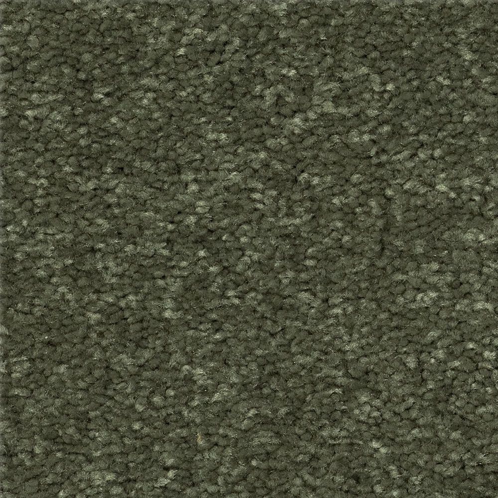 Shaw Easy Spirit I 12" Carpet in Garden View, , large