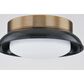Troy Lighting Arnie 2-Light Flush Mount in Patina Brass and Gloss Black, , large