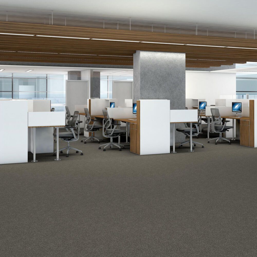 Shaw Yes You Can III Carpet in Rerooted Nature, , large
