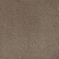 Dream Weaver Serene I Carpet in Cinnabar, , large