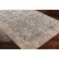 Surya Aspendos 9" x 12"2" Denim, Gray, Wheat, Taupe, Black and Light Beige Area Rug, , large