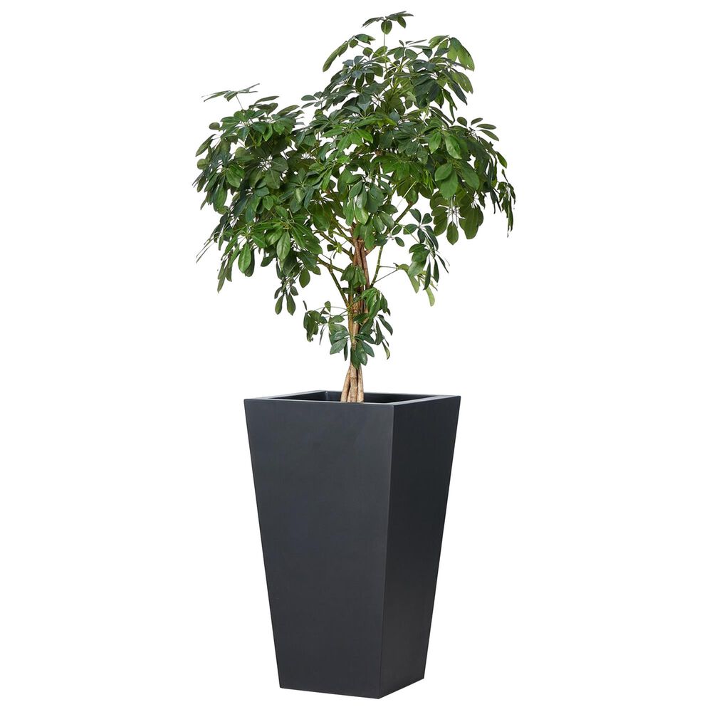 Four Hands Koto Outdoor Tall Planter in Black, , large