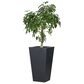 Four Hands Koto Outdoor Tall Planter in Black, , large