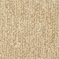 Masland Mesa Verde Carpet in Coventry, , large