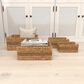 Maple and Jade Coastal Storage Basket in Light Brown (Set of 4), , large