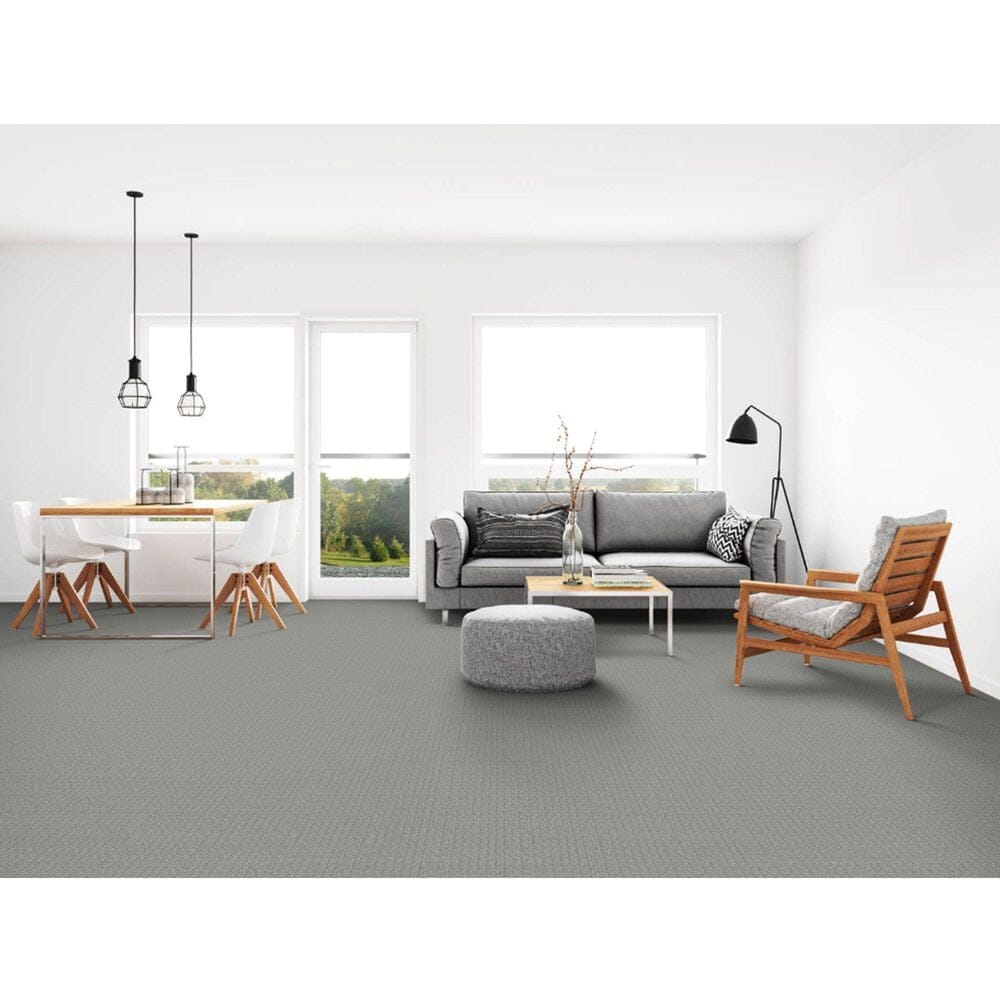 Dixie Home Affinity Carpet in Quarry, , large