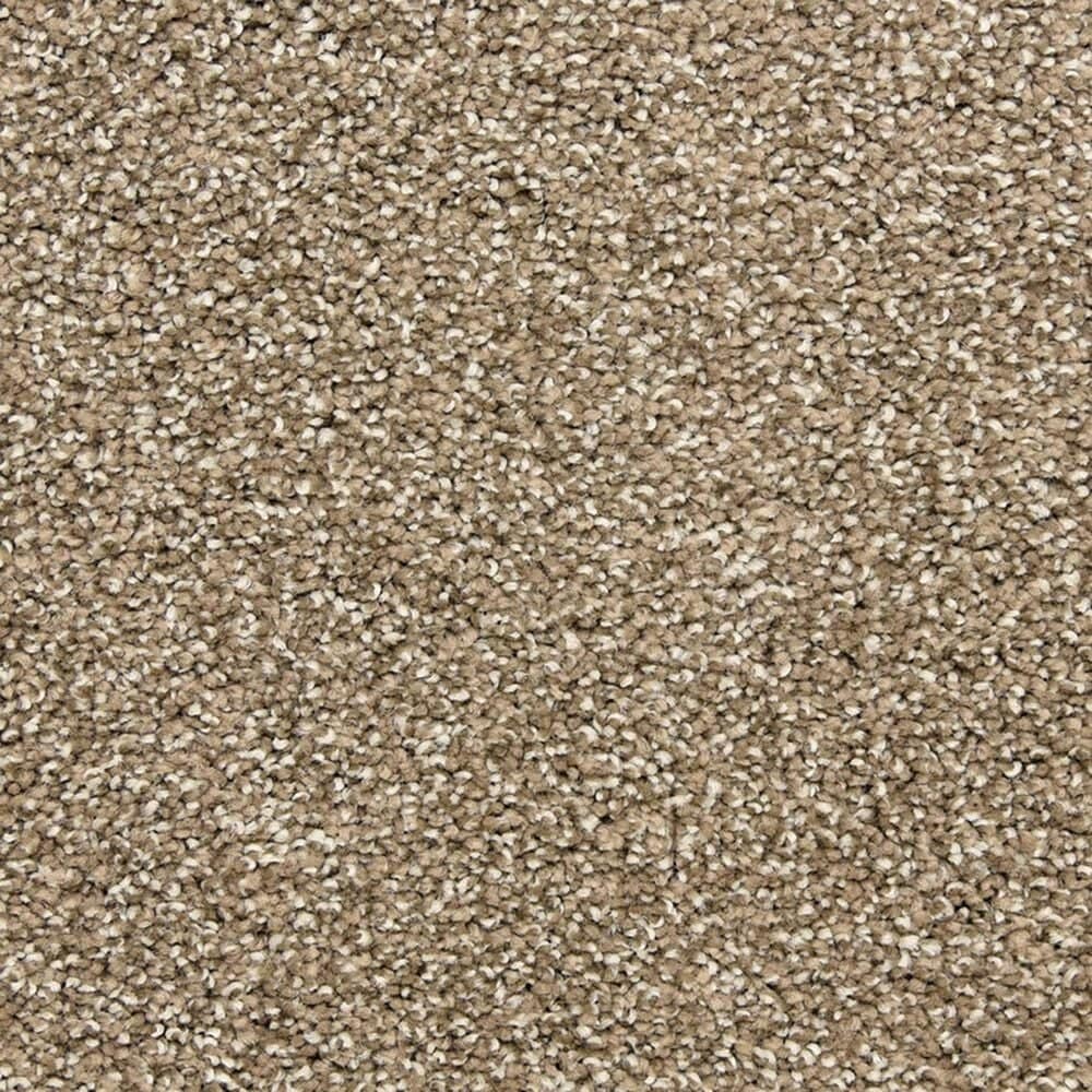 Dixie Home Natural Beauty Carpet in Falcon, , large