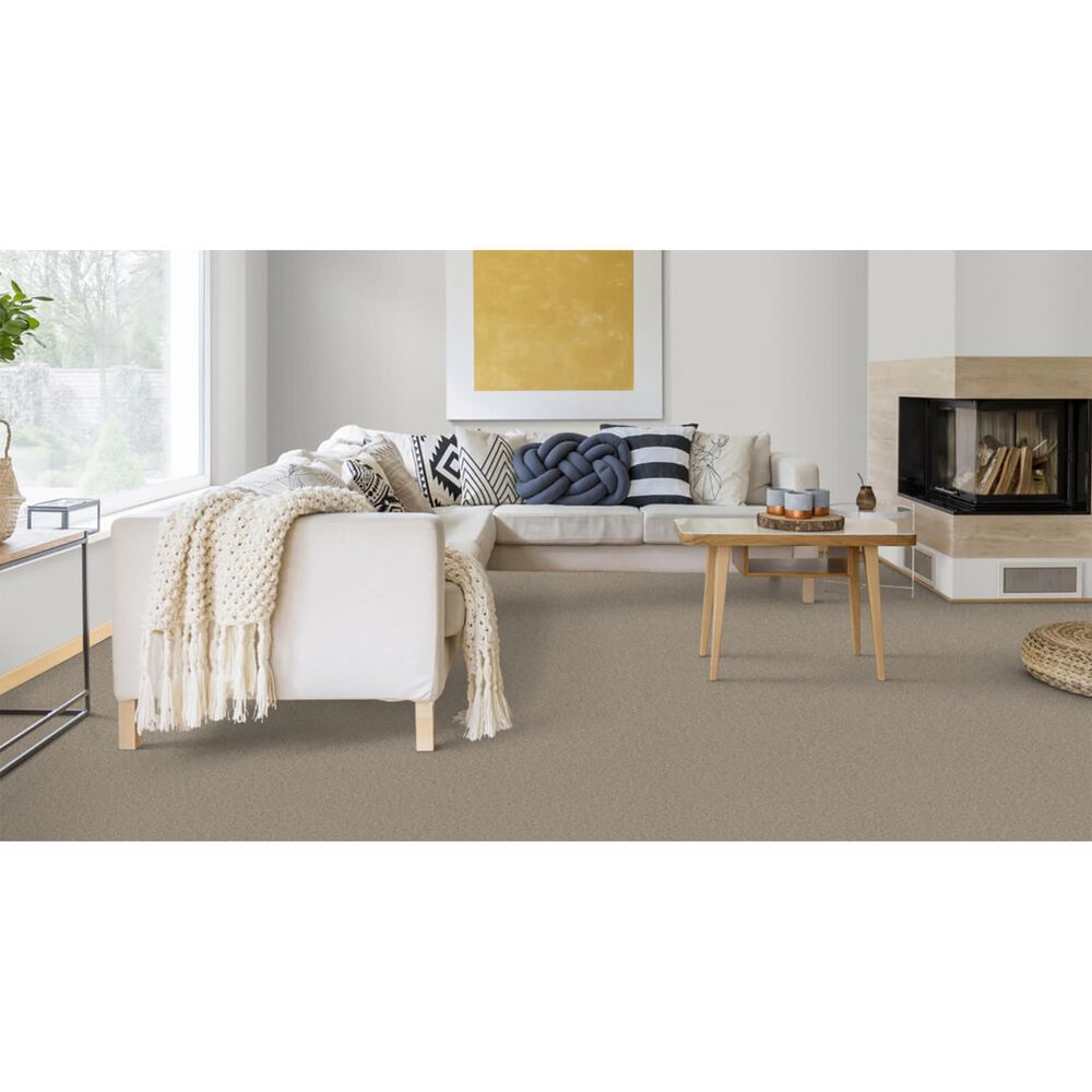 Dixie Home Winding Creek Premier Carpet in Neutral Ground, , large