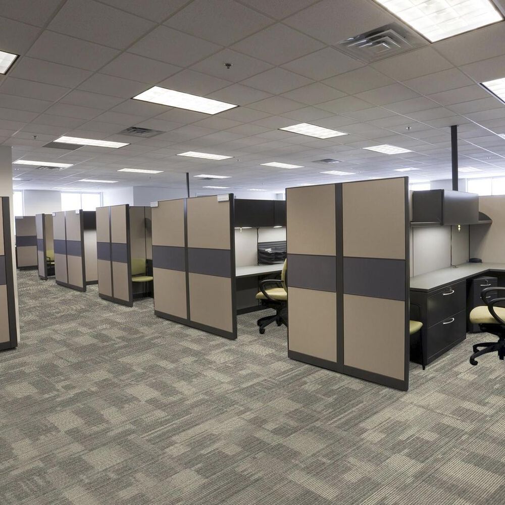 Shaw Pure Attitude 18&quot; x 36&quot; Carpet Tile in Exquisite, , large