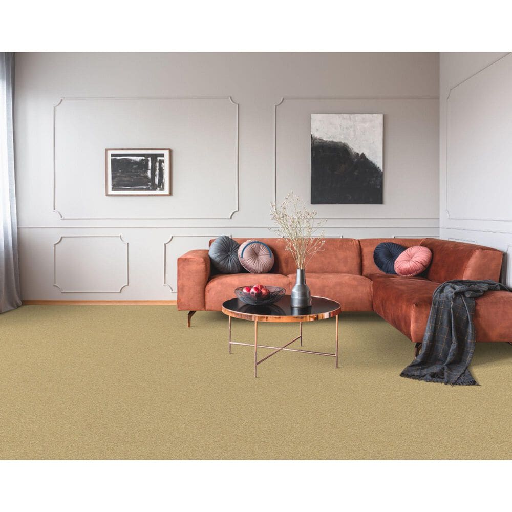 Dixie Home Simplicity Carpet in Taffy, , large
