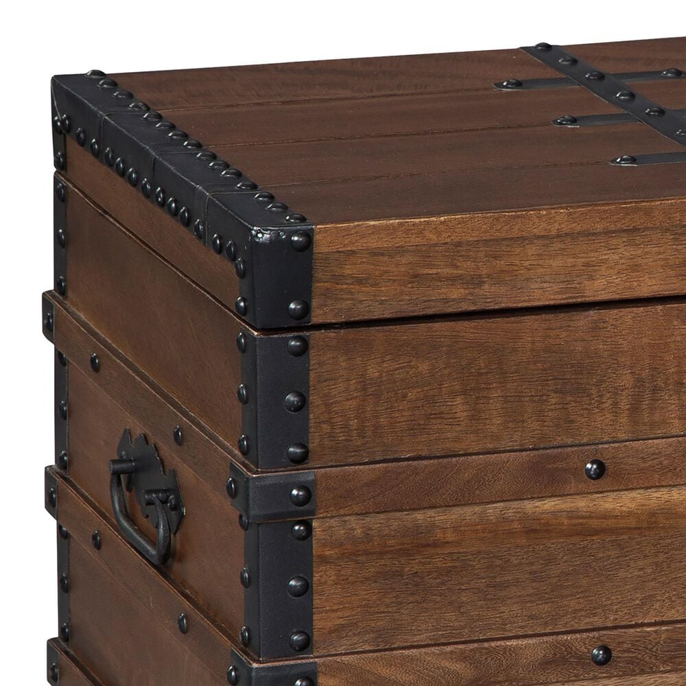Ashley Kettleby Storage Trunk in Brown, , large