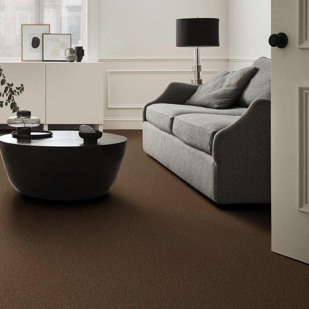 Anderson Tuftex Enchanting Carpet in Bronco, , large