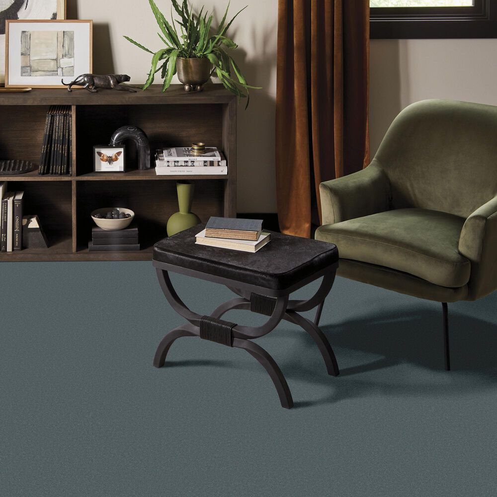 Anderson Tuftex Finery Carpet in Caribbean Cove, , large