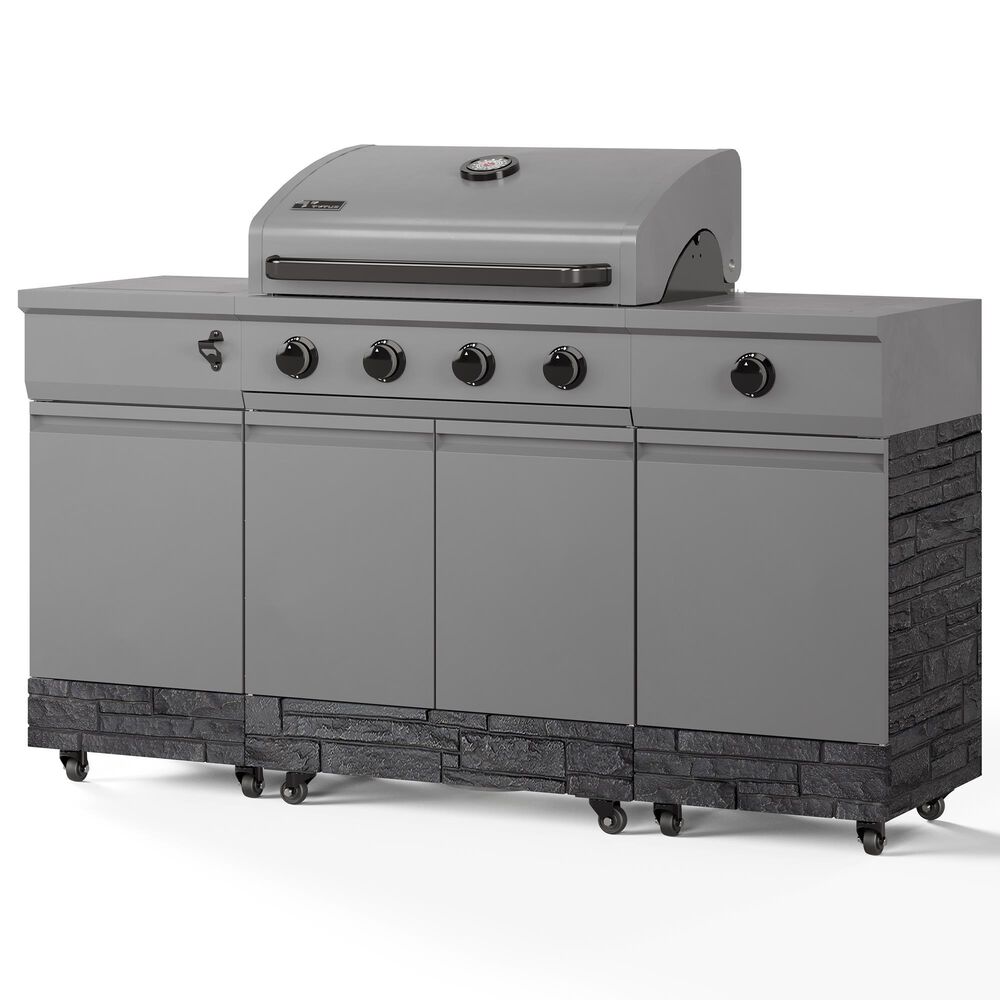 TYTUS Fresno Liquid Propane and Natural Gas Convertible Grill in Gunmetal and Graphite, , large