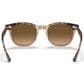 Ray-Ban Rayban Hawkeye Havana Transparent Brown 52", , large