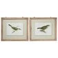 Maple and Jade 22" x 27" Birds Framed Wall Art in Green and White (Set of 2), , large