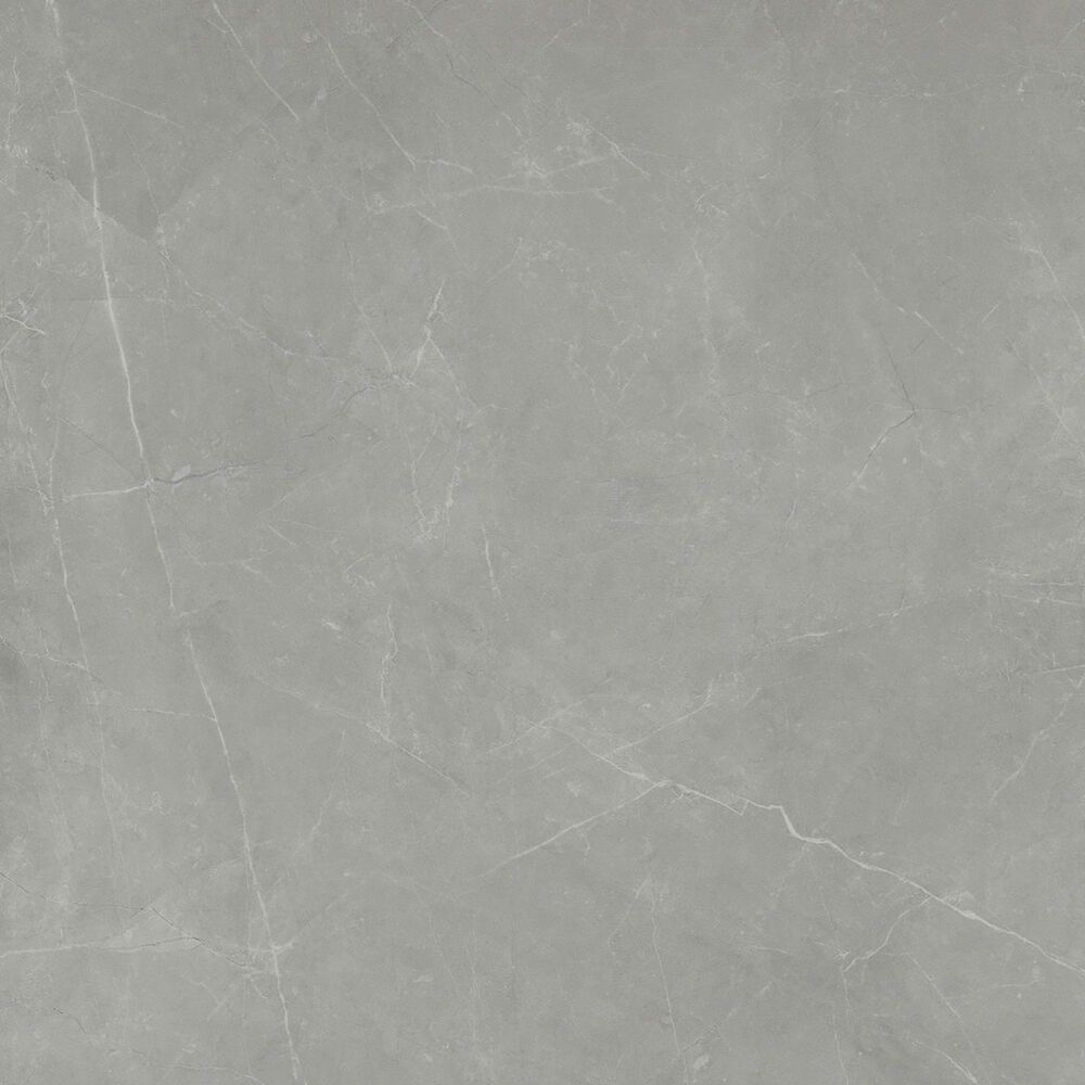 Distributer Sterlina II Gray 24" x 24" Polished Porcelain Tile, , large