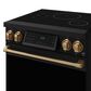 Thor Kitchen Gordon Ramsay 30" Induction Range Color Kit in Bronze, , large