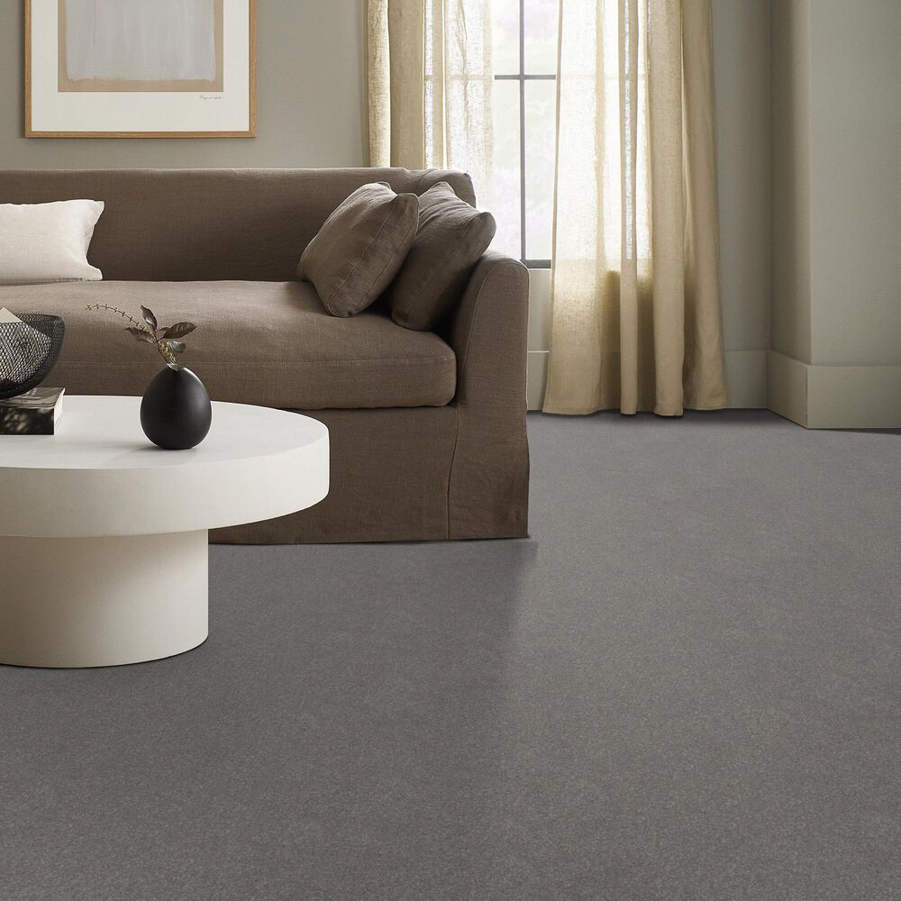 Shaw Hard At Play II Carpet in Vintage, , large