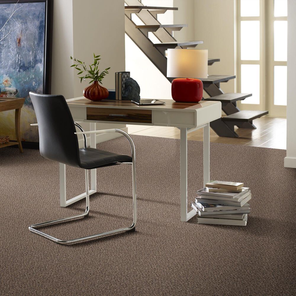 Philadelphia Mixed Essentials Carpet in Primitive, , large