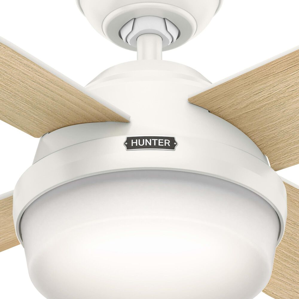Hunter Dempsey 52&quot; Ceiling Fan with Lights in Fresh White, , large