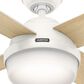 Hunter Dempsey 52" Ceiling Fan with Lights in Fresh White, , large