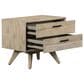 Blue River Baly 2 Drawer Nightstand in Gray Sandblast Summer/Black, , large