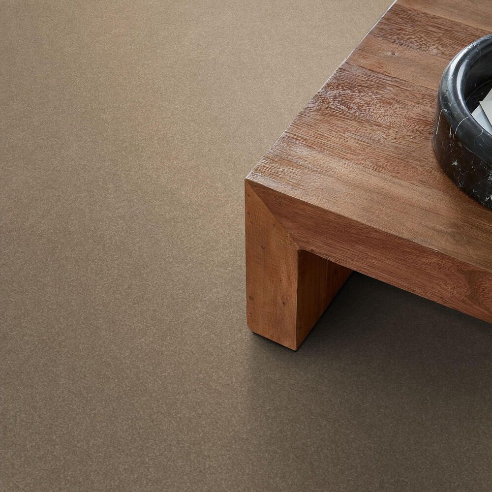 Shaw Hard At Play II Carpet in Worn Path, , large