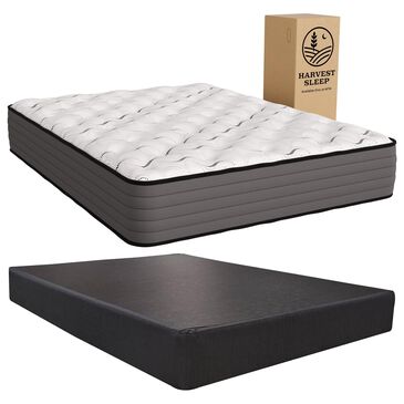Harvest Sleep Daisy Medium California King Mattress with High Profile Box Springs, , large