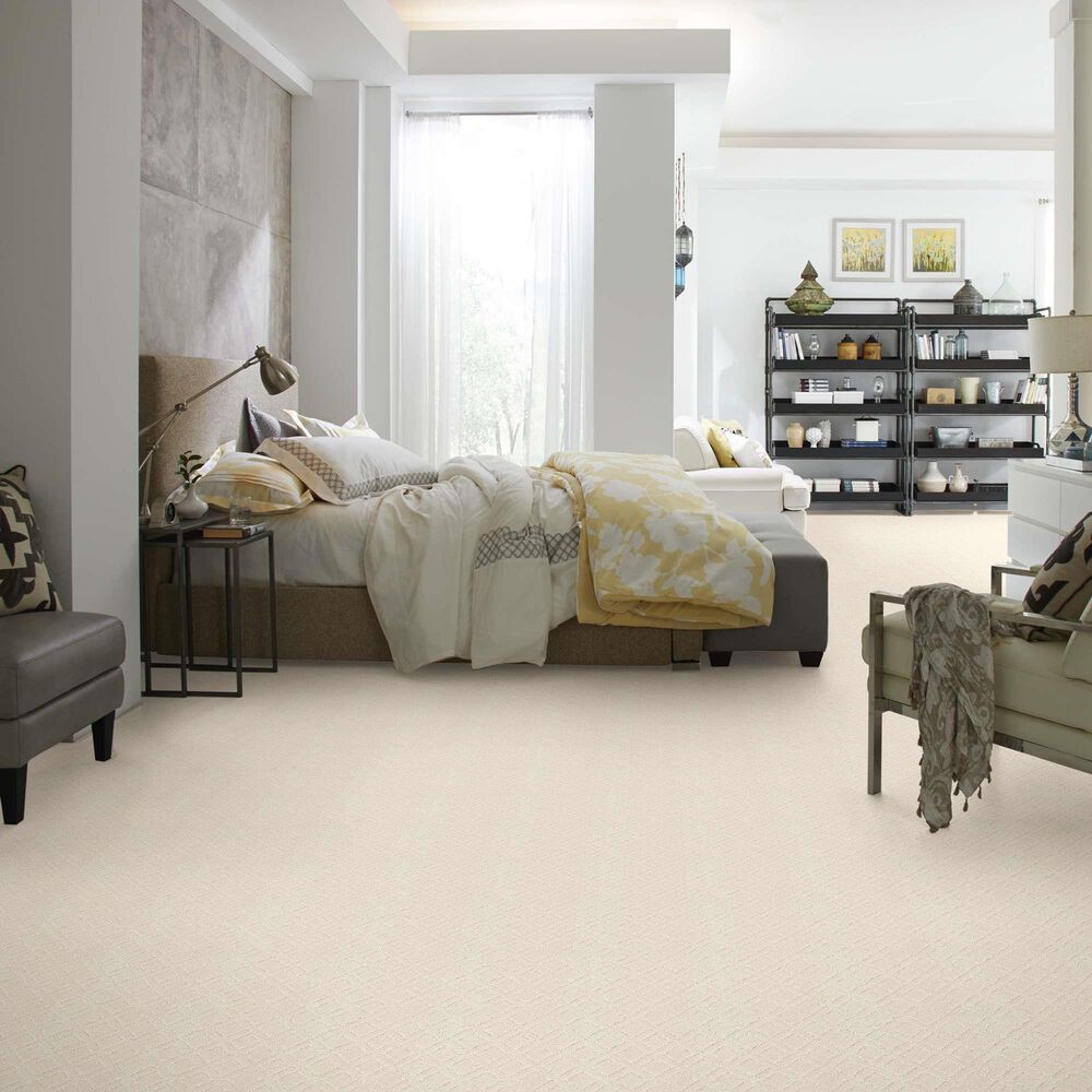 Anderson Tuftex Renoir Carpet in Salt Box, , large