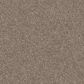 Shaw Bold Move Plus Carpet in Rattan, , large