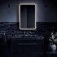Kohler Essential Ultrabright Vanity Mirror in Brushed Nickel, , large