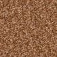 Shaw Tonal Comfort Ii Carpet in Sunrise, , large
