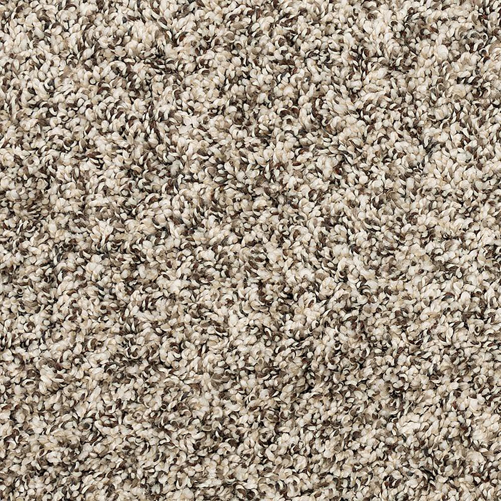 Mohawk Purrsonality III Carpet in Cascade