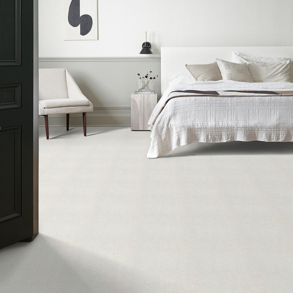 Shaw Tonal Comfort I Carpet in Neighborhood Bistro, , large