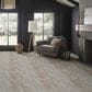 Anderson Tuftex Carrera Carpet in Coastal Dream, , large