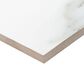 MS International Aria Bianco NARIBIA1224P 12" x 24" Porcelain Tile, , large