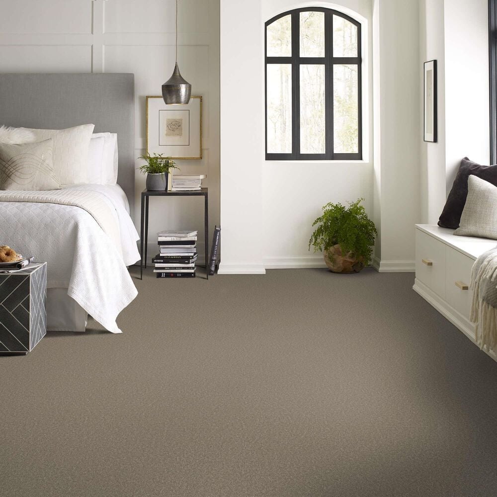 Shaw Las Cruces Carpet in Barn Wood, , large